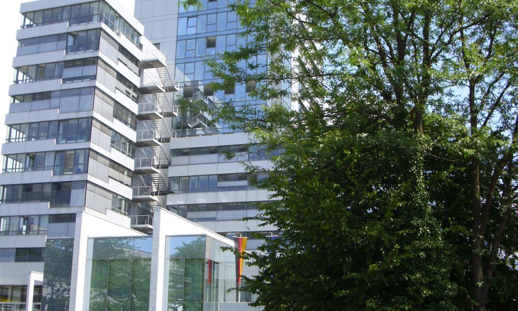 Neues Jugendparlament gewählt — 15 Mitglieder bei 17,18 Prozent Wahlbeteiligung