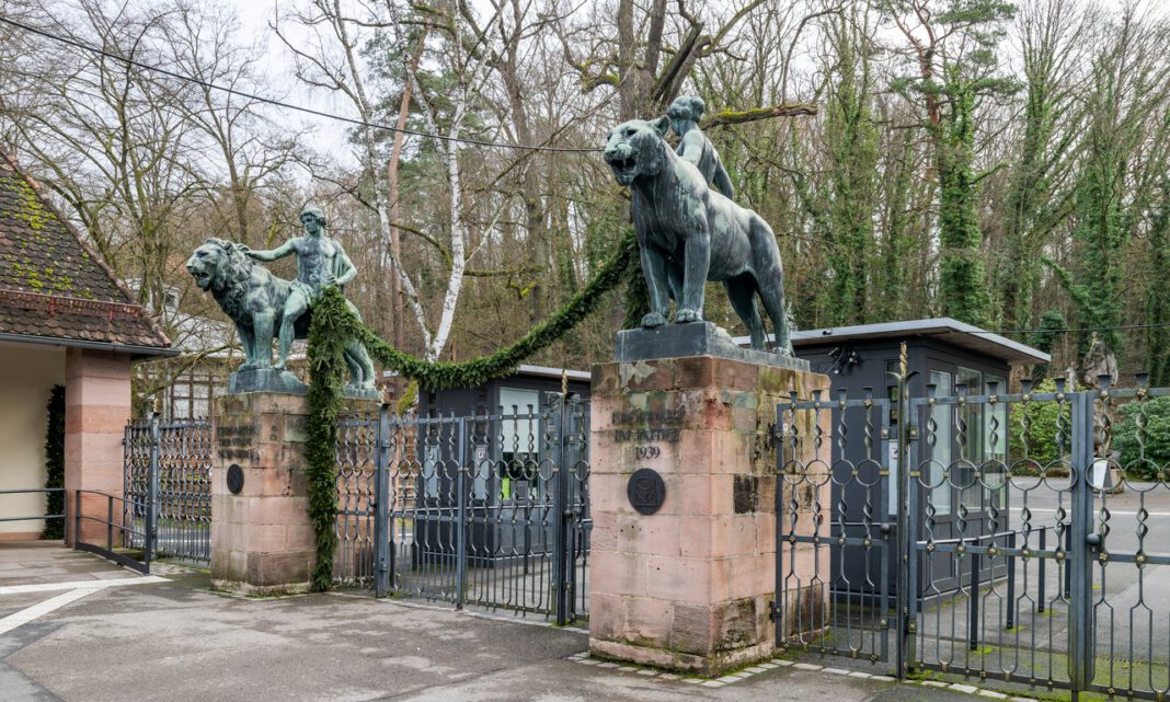 Nürnberger Tiergarten bietet Erlebnisgutscheine und Tierpatenschaften als Weihnachtsgeschenke Nürnberger Tiergarten bietet Erlebnisgutscheine und Tierpatenschaften als Weihnachtsgeschenke