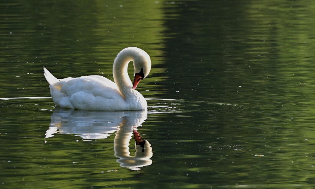 Sommer am See Böblingen 2023 – Rückblick auf Veranstaltungen, Highlights und Tipps