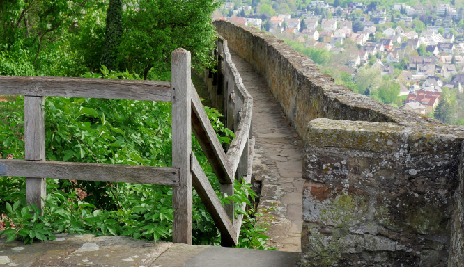 Tagesausflug nach Heilbronn: Ein Erlebnis für alle Sinne