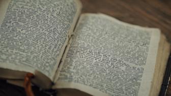 Werend: Bedeutung, Verwendung und Unterschiede zu 